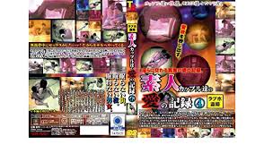 A place for jav fans and the discussion of japanese av. Amazon Com Japan Av Love Love Ho Hidden Camera Amateur Couples Recording 4 Ptrbx 031 Dvd Movies Tv