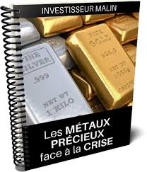 Comment Investir Rapidement Dans Les Metaux Precieux Et Proteger Son Epargne En 2020 Gagner De L Argent Finance Investisseur