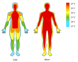 Temperature is a physical quantity that expresses hot and cold. Temperatura Corporal By Nataliamaartinez On Genially