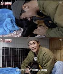 Daum - News update