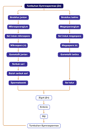 We did not find results for: Jelaskan Dengan Benar Dan Tepat Reproduksi Dan Sik