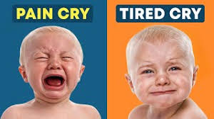 Uploads from Emma Hubbard