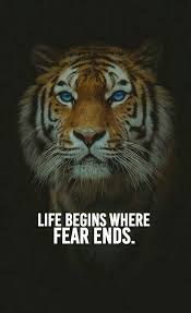 Pin By Strength Through Discipline On Determined Lion Quotes Tiger Quotes Fear Quotes