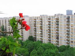 Nachfolgend finden sie eine auswahl aktueller exposés zum thema „wohnung mieten aus unserem portfolio. Wohnen Im Grunen In Budapest Foto Bild Natur Kreativ Natur Bilder Auf Fotocommunity