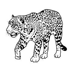 African Animals Coloring Pages Rain Forest Theme Unit Worksheets And Printables Page 1 Abct Rainforest Animals Animal Coloring Pages Animal Coloring Books