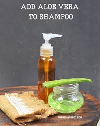 Massage the gel into your scalp—don't forget the back of your hair, too! How To Add Aloe Vera To Shampoo For Faster Hair Growth The Indian Spot