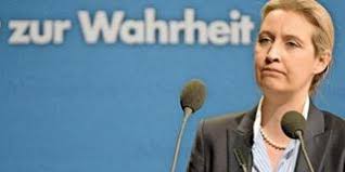 Alice weidel von der afd: Afd Spendenaffare Jetzt Scheint Klar Wer Alice Weidel Verraten Hat