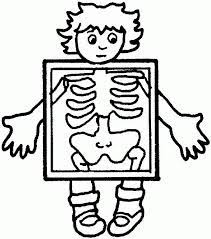 Search through 623,989 free printable colorings at getcolorings. Human Body Coloring Pages Coloring Home