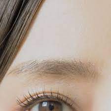 田中亜希子 はじめましての季節に 安心感のある ふんわり平行眉の作り方 眉 眉メイク 顔のメイク