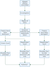 Click on the buttons below to download flow charts designed to help you understand the conveyancing process in your state of territory. Conveyancing Procedure Flow Chart Buton