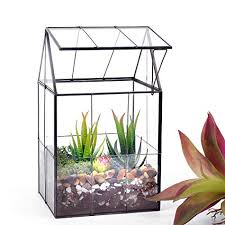 Check out these 15 best indoor succulent planting ideas for inspiration! Ferrisland Glass Plant Terrarium Container Wardian Case Indoor Succulent Planter W Door 10 X5 9 X5 1 Buy Online In Antigua And Barbuda At Antigua Desertcart Com Productid 175440798