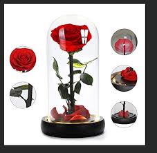 La touche parfaite pour votre décoration d'intérieur. Cadeau Idee Pour Anniversaire Amoureux Vrai Petale Tombe Tige Feuille Anaoo Rose Eternelle Veritable Sous Cloche Fleur Conservee La Belle Et La Bete Avec Lumiere Led Fete Des Meres Saint Valen Cuisine