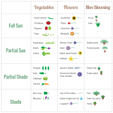 Sun Chart For Various Vegetables Farm Gardens Geraniums