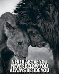  8 My Lion Ideas Lion Lion Quotes Lion Love