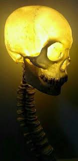Pin By Juan Pablo Leon Juarez On Craneos Skull Skull Decor Halloween Props