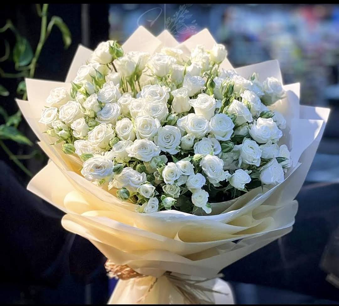 Bright white product image