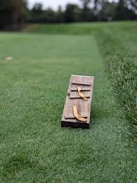 Old Skool Snowboarders