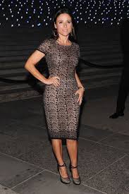 Julia Louis Dreyfus Cocktail Dress Julia Louis Dreyfus Dresses Fashion