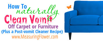clean vomit off carpet or furniture