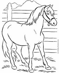 Today i've got two amazing free printable flower coloring pages for adults to share with… they are beautiful and i can't wait to color them. Horse Coloring Pages Sheets And Pictures