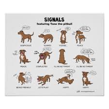 Pin On Dogs Posters