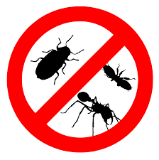 Eliminator's pest control provides green pest control services for homes and offices. Pest Control Service December 2018