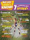 Image result for fun facts about spiders