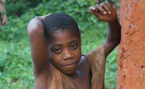 Indigenous peoples bear the brunt of global greenwash