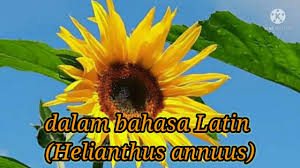 Intinya, jangan sampai anda tinggal di dalam hunian yang tidak menyehatkan dan tidak membahagiakan. W8rsfjzhlgicfm