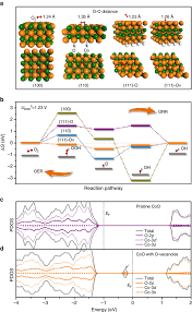 Origin Of Orr Oer Activity On Various Facets Of Coo A Atomic Download Scientific Diagram