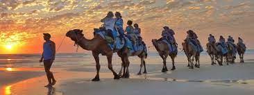 6 carnarvon st, broome wa 6725, avustralya. Broome Camel Safaris Cable Beach Sunset Camel Tours