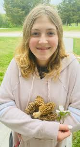 Wildflower identification help needed