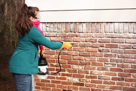 And so you need to know the proper way to remove mortar residue from brick. How To Remove Paint From Exterior Brick Bower Power