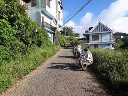 Nơi đây có 2 biểu tượng cực kì đặc biệt của thành phố đà lạt là bông hoa dã các món bánh ở tiệm bánh cối xay gió đà lạt. Thong Tin Ban Ä'áº¥t Xuan TrÆ°á»ng Ä'a Láº¡t Ä'ang Chu Y Nháº¥t NÄƒm 2020 Thá»‹ TrÆ°á»ng Today