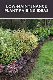 Best hashtags for gardening instagram posts. Pin On Plant Pairings