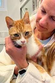 Kat owen: Últimas noticias, fotos, videos, artículos de opinión de Kat owen 