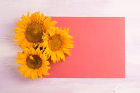 Free Photo Overhead View Of Yellow Sunflowers On Blank Red Paper Over The Textured Background