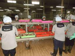 Produk sarden dan makarel yang menggunakan nama pt. Sarden Makarel Tuna Dalam Kaleng
