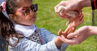 Two Royal Borough hospices join national 'This is Hospice Care' campaign