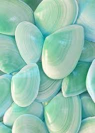 Mint Tumblr Pinterest Carriefiter 90s Fashion Street Wear Street Style P 90s Carriefiter Disneyartvintage Fashion Mint Pinterest Street Sty 2020