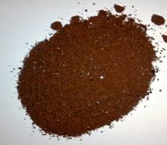 Image result for Erythroxylum emarginatum