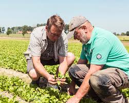 Claas is one of the world's leading manufacturers of agricultural machinery. Meet Our Growers Greenyard Group
