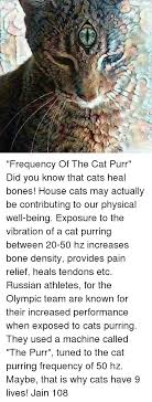 For centuries, healers have used the power of sound in their work. Purring As A Health Benefit Cat Daily News