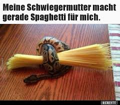 Meine Schwiegermutter Macht Gerade Spaghetti Fur Mich In 2020 Mett Lustig Lustige Spruche Bilder Schwiegermutter
