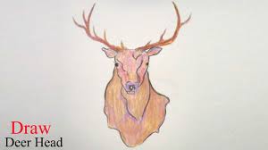 Back in the beginning one of my skull tutorials was in the top 50 for at least three years. Easy Draw Deer Head Novocom Top