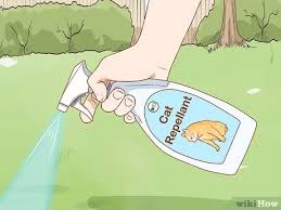 Place traps in areas where the cats frequent and bait them with appropriate food or appetizing scents. 3 Ways To Get Rid Of Cats Wikihow