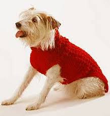 It has a snug easy fit and is comfy enough for your dog to sleep in. 18 Ideas Crochet Patterns Free Dog Sweater Ravelry