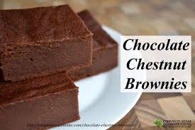 chocolate chestnut brownies gluten free no refined sugar recipe chestnut recipes recipes food processor recipes