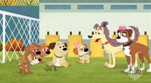 As a scruffy mutt, hes the main protagonist of the pound puppies world. Pound Puppies Homeward Pound Dvd Review Family And Children S Television Animation