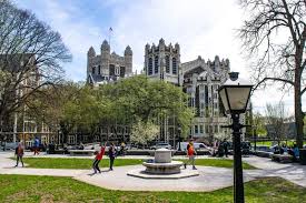 Established in 1959, rockland community college was the 18th community college in new york to join the suny system. City College Features Prominently In 2021 Princeton Review Arwu Rankings The City College Of New York